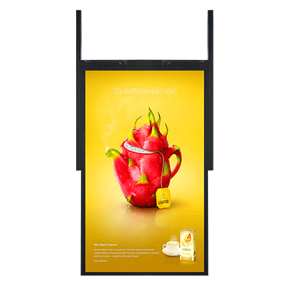 49 inch dual side digital window display